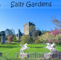 Sally Gardens Cover
